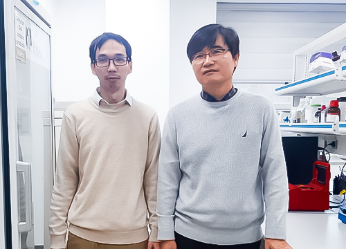 Professor PARK Pil-hoon of YU Department of Pharmacy published a paper in a world-renowned academic journal